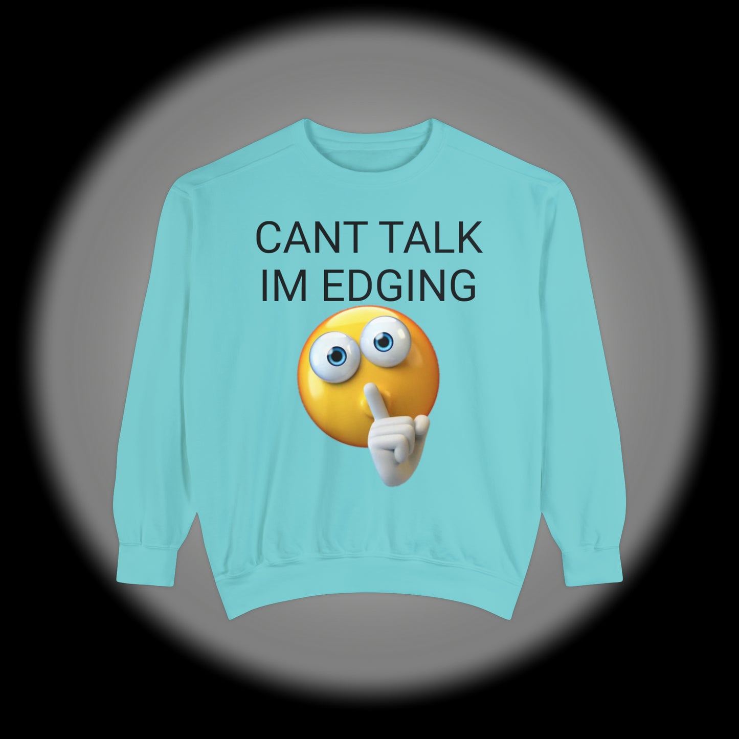 Unisex Garment-Dyed Sweatshirt Don't Talk