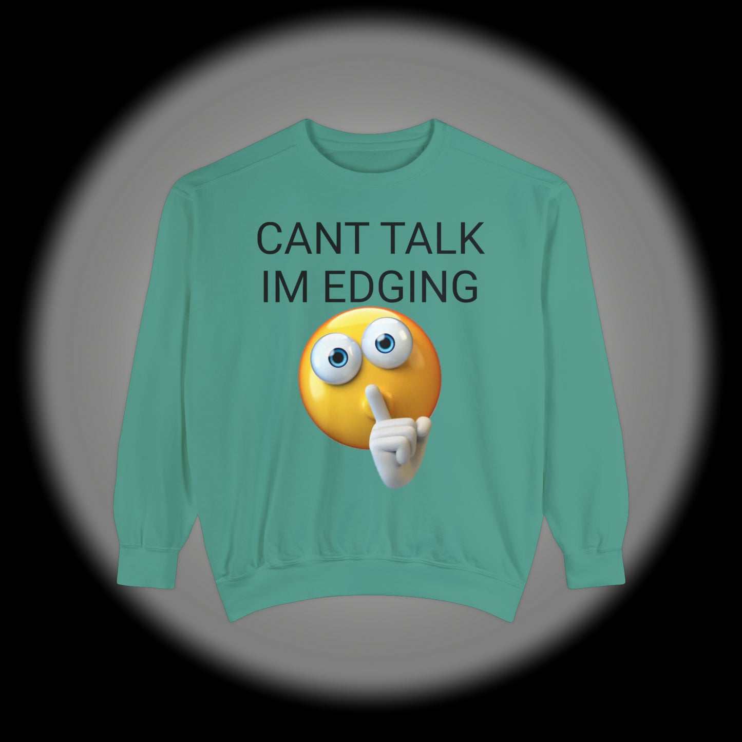 Unisex Garment-Dyed Sweatshirt Don't Talk